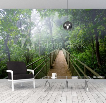 Picture of Skywalk cloudforest Costa Rica